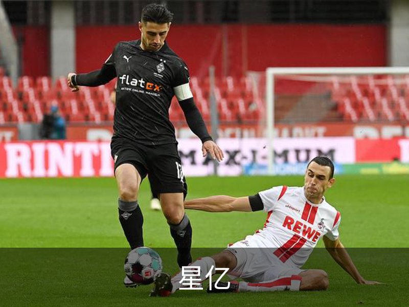 星亿介绍